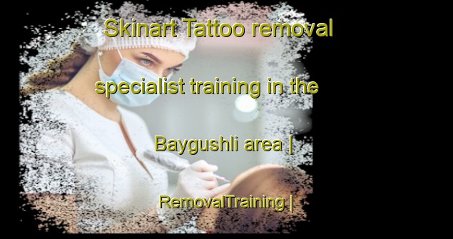 Skinart Tattoo removal specialist training in the Baygushli area | RemovalTraining | RemovalClasses | SkinartTraining-Turkmenistan
